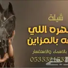 منشد شيلات شاعر جزل