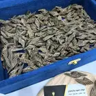 عود كمبودي تايقر ملكي