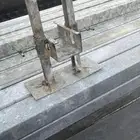 معالف دجاج طيور