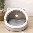 اغراض قطة