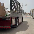 دينا للنقل العفش