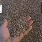 بطحاء احمر
