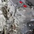 مكاين مستورد كورولا ياباني شد بلد