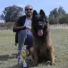 فندقة كلاب