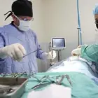 Veterinary Surgeon