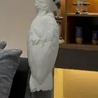 طير كوكاتو