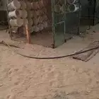 شبوك حمام مع السطول