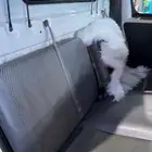 دباب ديهاتسو