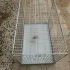 قفص رفوف