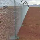 شبوك ونخل وأشجار سعرمناسب