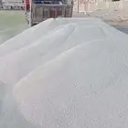حجر و بيسكورس