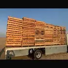 جده
