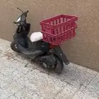 دباب بطه