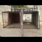 يوجد لدي شبك دجاج
