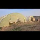 للبيع 4 بيوت محميه مناسبه لاصحاب المشاتل والمزارع