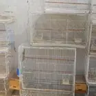 البيع قفص روز601 العدد 10