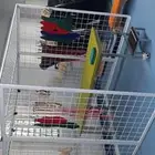 القفص العنكبوتي