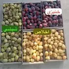 رطب اخلاص شيشي خنيزي من مزرعتنا بالاحساء