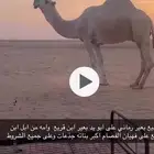للبيع بعير رماني