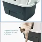 ليتر بوكس للقطط