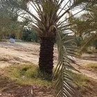 يوجد جميع العمال