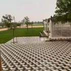 للبيع مزرعة في مخطط الشرافي 50 الف فرصة القي نظره