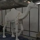 نحاتون متخصصون ف النحت بجميع أنواعه
