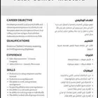 سيرة ذاتية احترافية