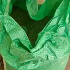 بط بكيني اناثي