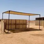 مضلات ابل و شبوك ابل