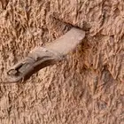 قديمي قديمه للبيع