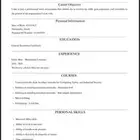 سيرة ذاتية احترافية