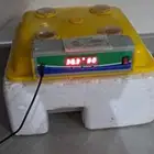 فقاصه صغيره تشيل 24