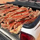 هايلقس 2026 حطب سمر