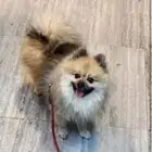 سعر 9000 الرياض  جيد جدا