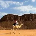 قعود ركبي مطبع