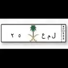 لوحه مميزه للبيع