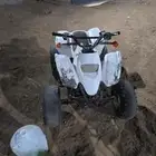 دباب سويدي 110