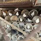عرض لكم حمام تقريبا 30 جوز