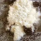 جاعد نعيمي طبيعي