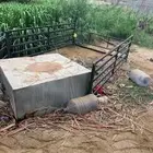 شبك ودعمه هيلوكس
