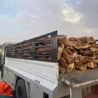 القصيم اتصل نصل