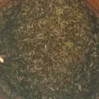 منحل