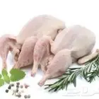 حمام فرنسي لاحم مبرد