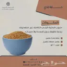 حلبة بلدي