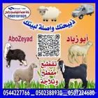 ذبيحتك واصل لبيتك