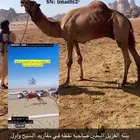بكره جاهزه للعسف VIP سلالة
