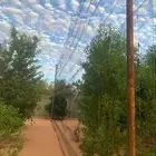 شبكة شبكات حرير مربط جودة عالية