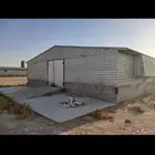 دولجن دجاج