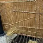 قفص طيور ذهبي بحالة ممتازة